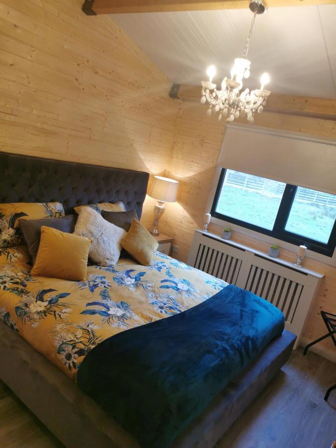 The Lodge Mountain View Log Cabin , Attymass Ballina Boyhollagh Εξωτερικό φωτογραφία